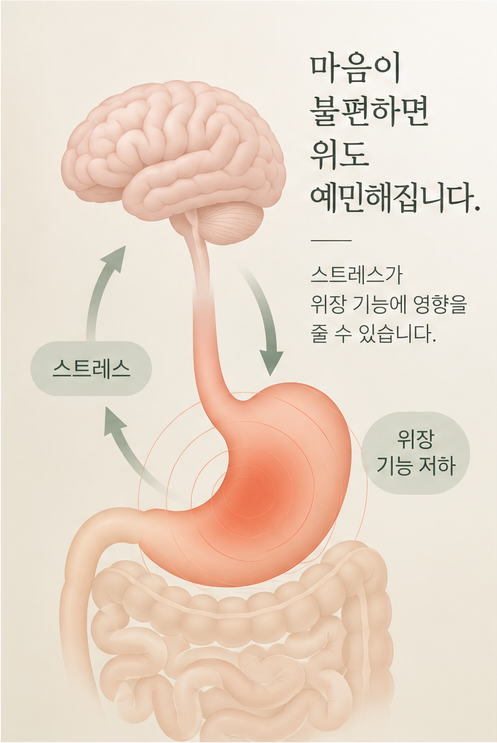 신경성 소화불량에 자주 쓰는 한약 처방